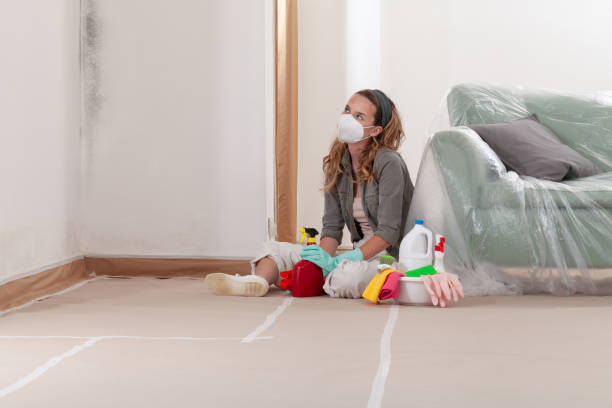 Reliable Mold Remediation contractor in Beverly Hills, MI by 24 Hour Mold Removal